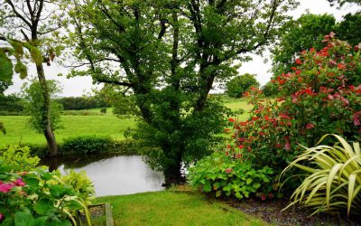 Betonowe aranżacje – jak urządzić strefę relaksu w ogrodzie?